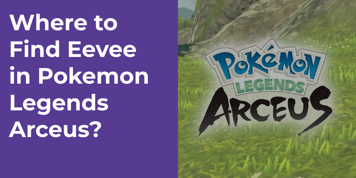 Where to Find Eevee in Pokemon Legends Arceus?