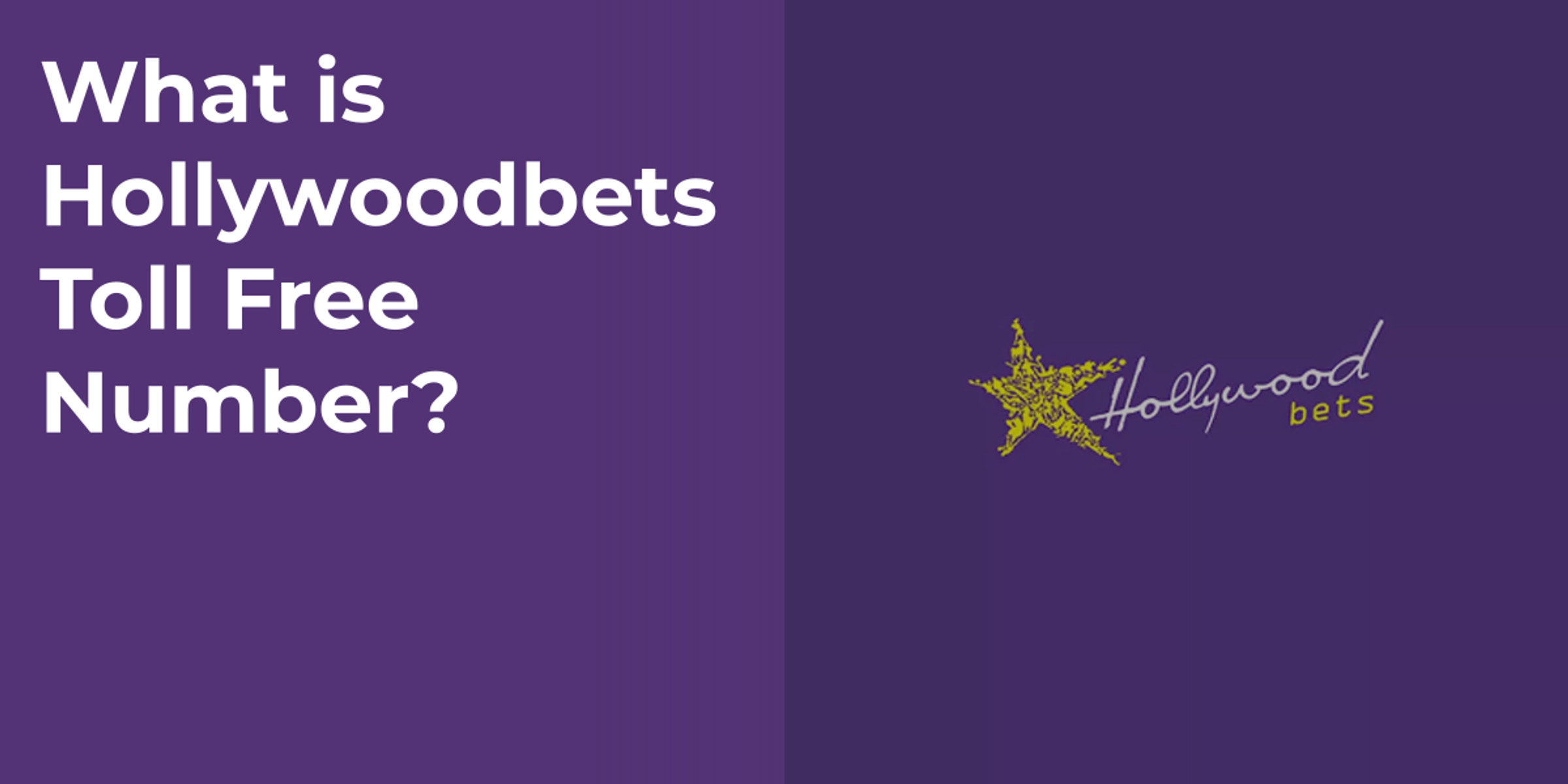 What is Hollywoodbets Toll Free Number?