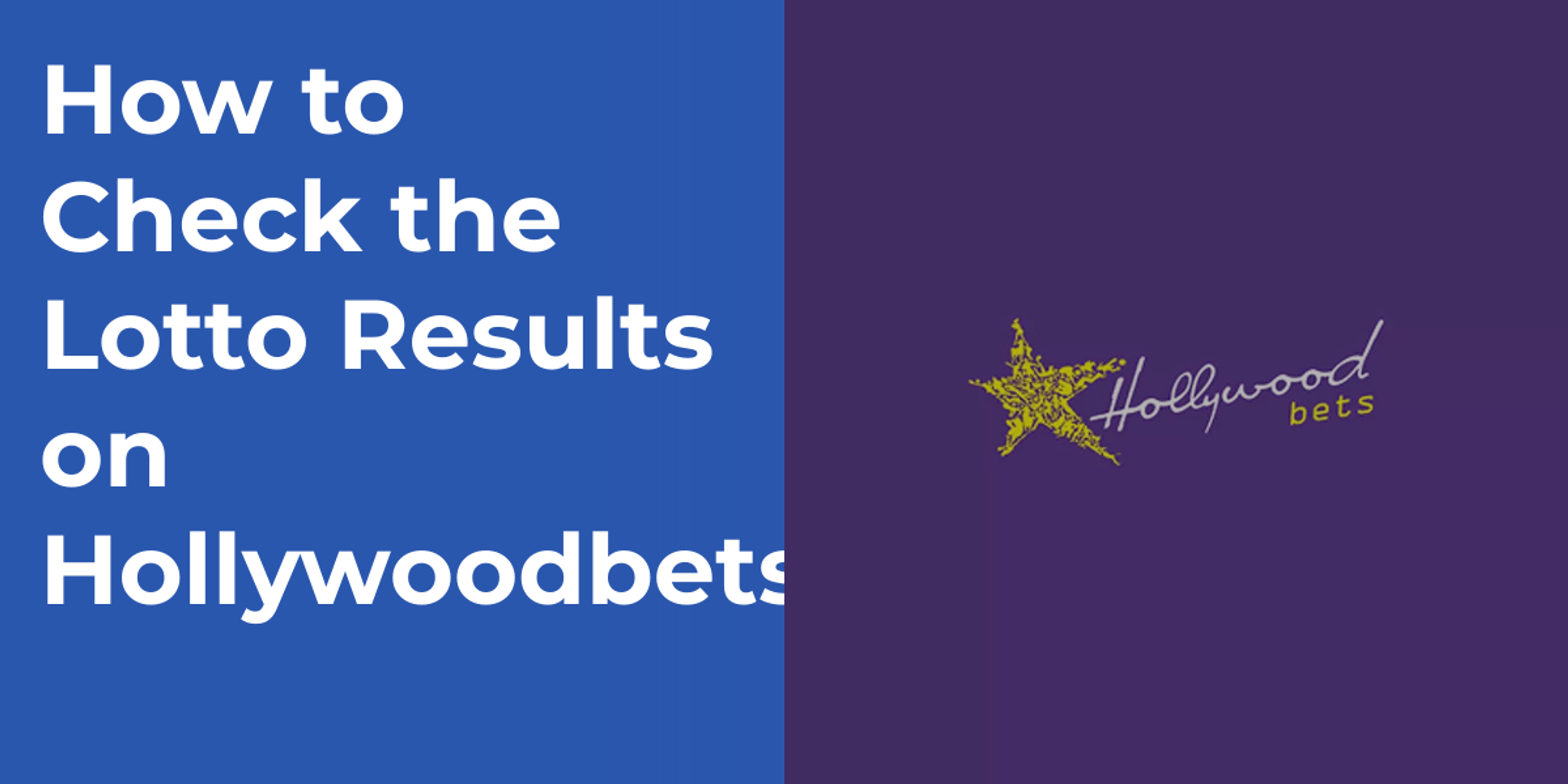 How to Check the Lotto Results on Hollywoodbets