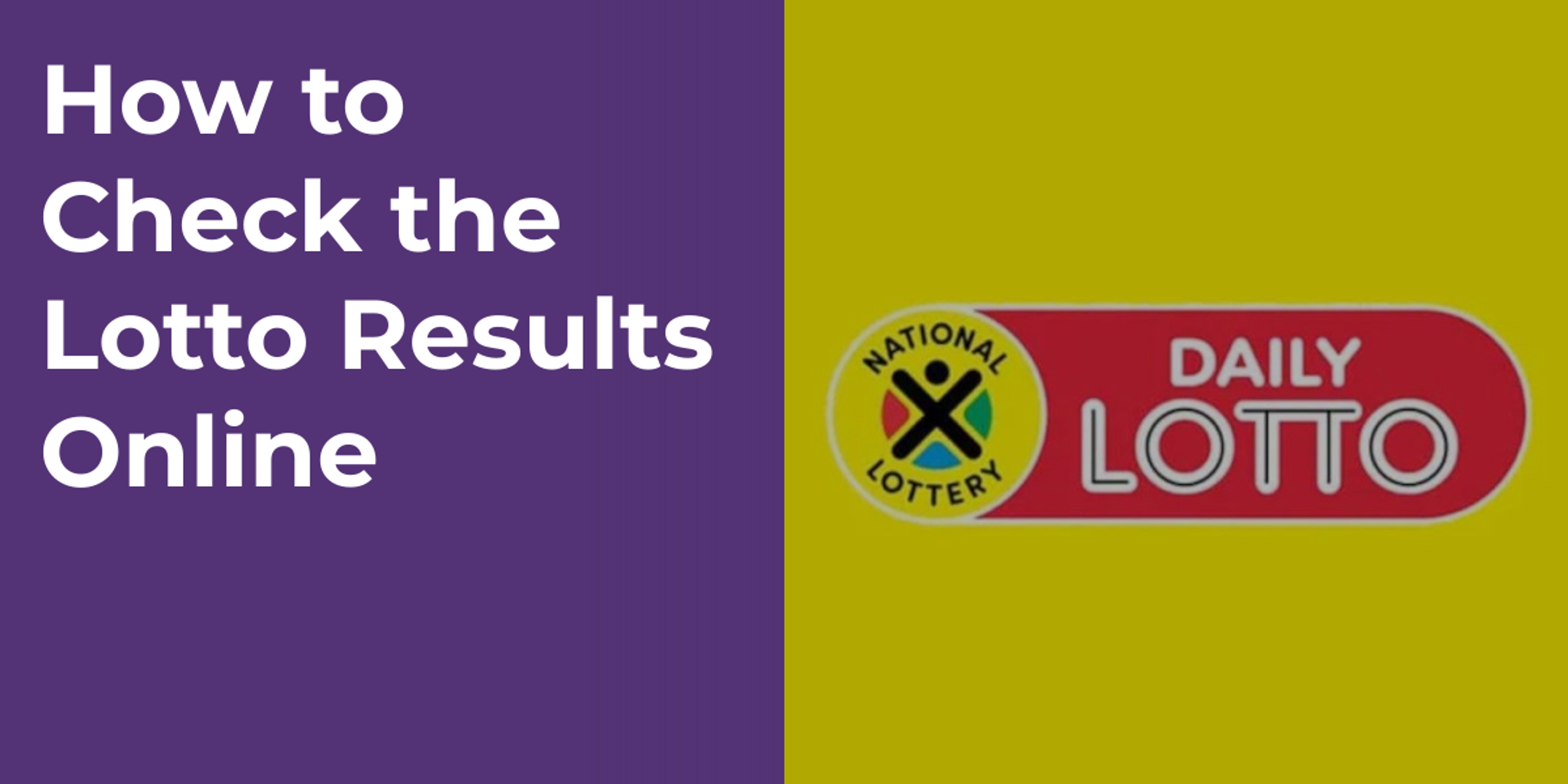 How to Check the Lotto Results Online