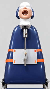 BE.DENT.HTC — Dental Phantom Head with Table and Chair Mounts