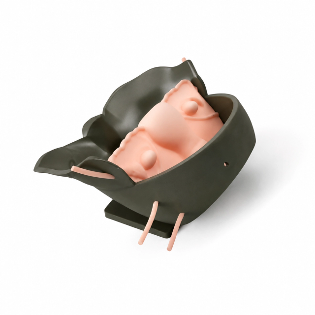 Laparoscopic Hysterectomy Trainer