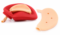 Diaphragm Simulation Platform for GERD Repair