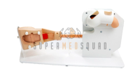 Advanced Gastroscopy Trainer