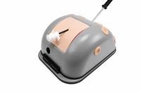 Abdominal Wall Insert for E.N.D.O. Sphere Trainer