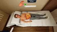 Pediatric virtual patient with abdominal anatomy overlay