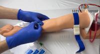 Intravenous Injection Arm Phantom