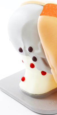 Head and Neck Lymph Node Palpation Trainer