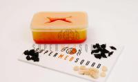 Traumatic Wound Model