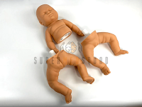 Infant Hip Dysplasia Trainer