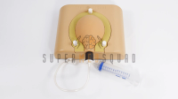Amniocentesis and Placental Biopsy Trainer