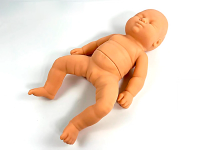 Infant Hip Dysplasia Trainer