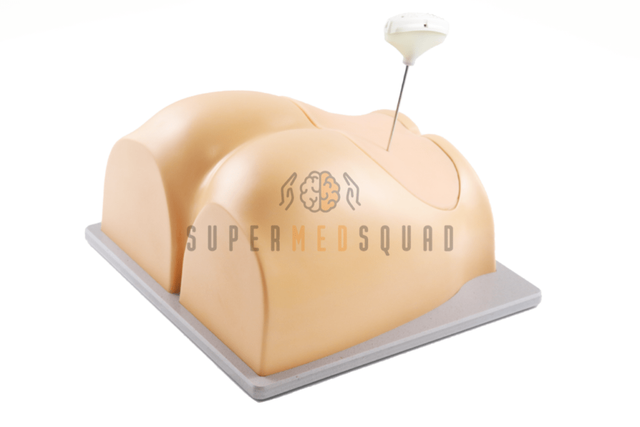 Trainer per biopsia Trephine