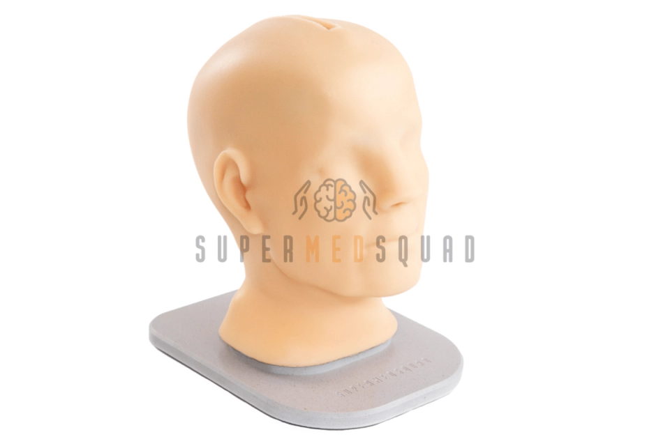 Trainer zur Palpation von Kopf- und Hals-Lymphknoten