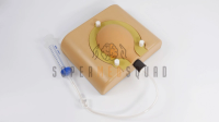 Amniocentesis and Placental Biopsy Trainer