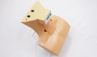 Sellick Maneuver Trainer