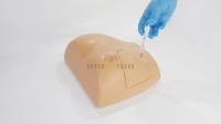 Gluteal Intramuscular Injection Trainer