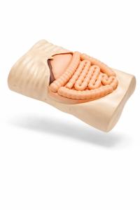XR-Body Pediatric removable skin and organ inserts