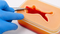 Entrenador de heridas traumáticas con módulo de sangrado