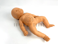 Infant Hip Dysplasia Trainer