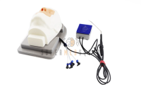 Epistaxis Management Trainer