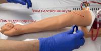 Intravenous Injection Arm Phantom