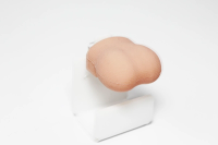 Pediatric Scrotal Examination Trainer