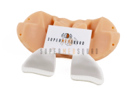 Trephine Biopsy Trainer