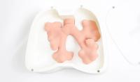 Adult Bronchoscopy Trainer
