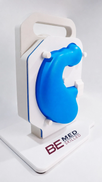 Gastroscopy Trainer (Simplified Version)