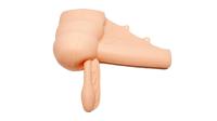 Bowel Model with Appendix