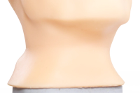 Head and Neck Lymph Node Palpation Trainer