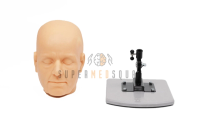 Facial Skull Model with Simulated Skin for Filler Injections