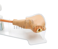 Advanced Gastroscopy Trainer