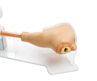 Advanced Gastroscopy Trainer