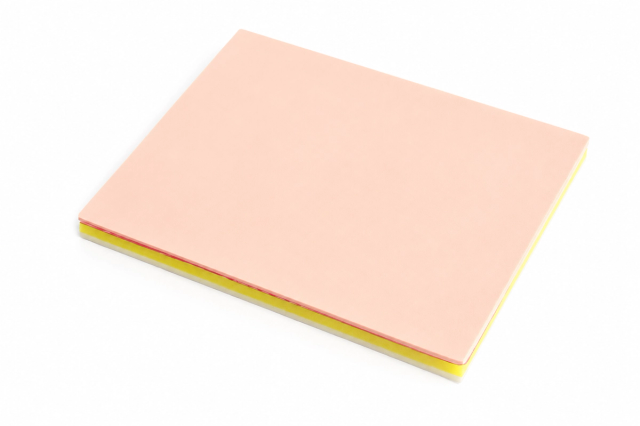 Abdominal Wall Insert for E.N.D.O. Sphere Trainer