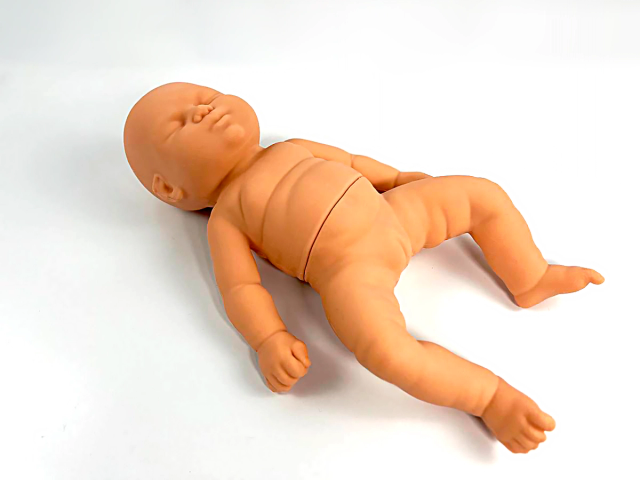 Infant Hip Dysplasia Trainer