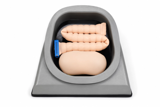 Laparocentesis and Cystostomy Trainer