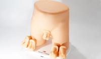 Pediatric Scrotal Examination Trainer