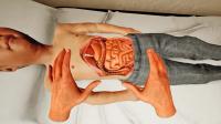 Male pediatric virtual patient with abdominal anatomy