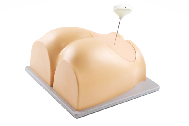 Trephine Biopsy Trainer