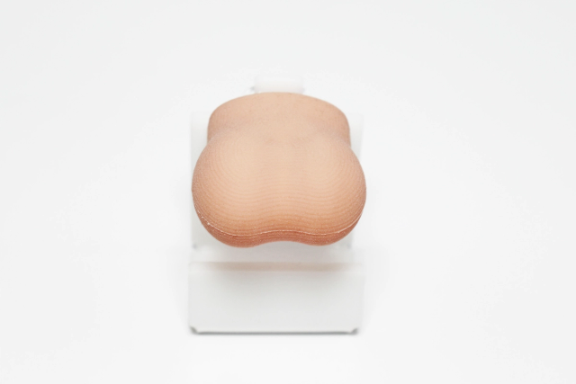Pediatric Scrotal Examination Trainer