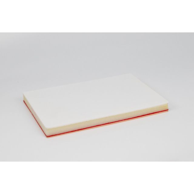 Anterior Abdominal Wall Pad with Skin and Linea Alba Closure