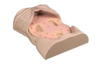 BE GP simulator — full-body anatomy view 7