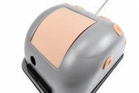 Abdominal Wall Insert for E.N.D.O. Sphere Trainer