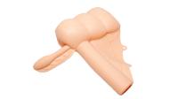 Bowel Model with Appendix