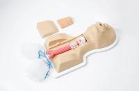 Trainer für bronchoskopiegeführte Koniotomie und Tracheotomie