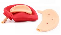 Diaphragm Simulation Platform for GERD Repair