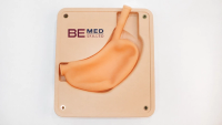 Percutaneous Gastrostomy Trainer with Gastroscope Verification