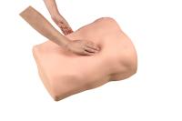 BE GP simulator — full-body anatomy view 3